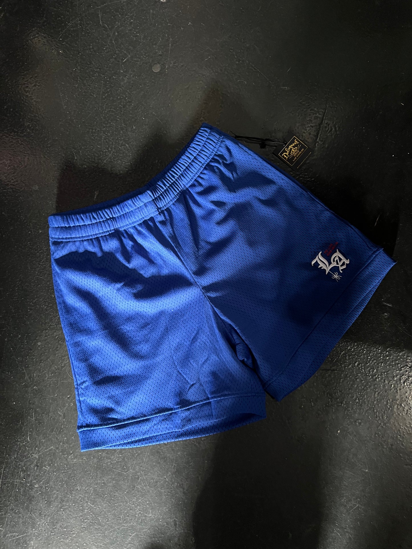 "To Live and Die in LA" Mesh Shorts in Blue