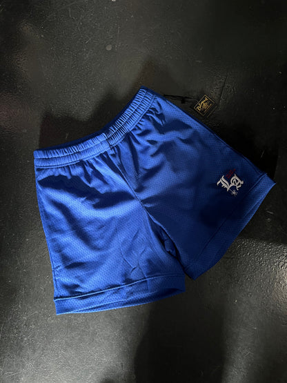 "To Live and Die in LA" Mesh Shorts in Blue