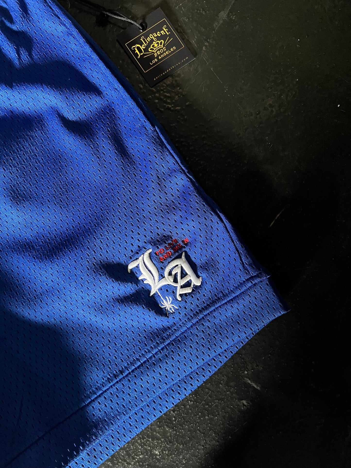 "To Live and Die in LA" Mesh Shorts in Blue