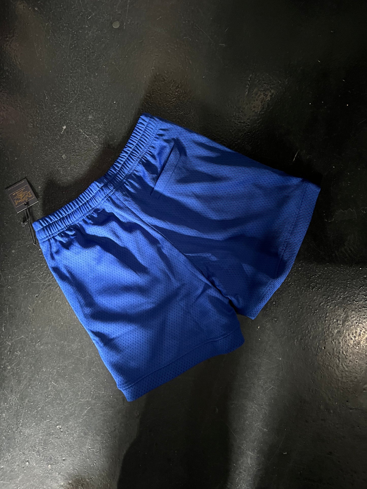 "To Live and Die in LA" Mesh Shorts in Blue