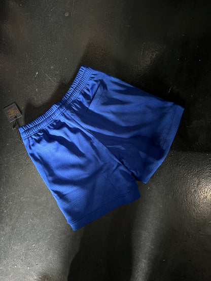 "To Live and Die in LA" Mesh Shorts in Blue